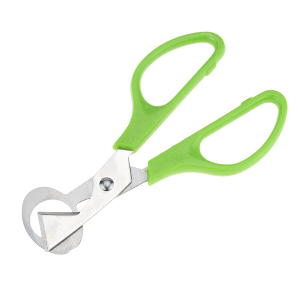 Quail Egg Scissor Stainless Steel Quail Eggs Shell Cutter Bird Egg Opener