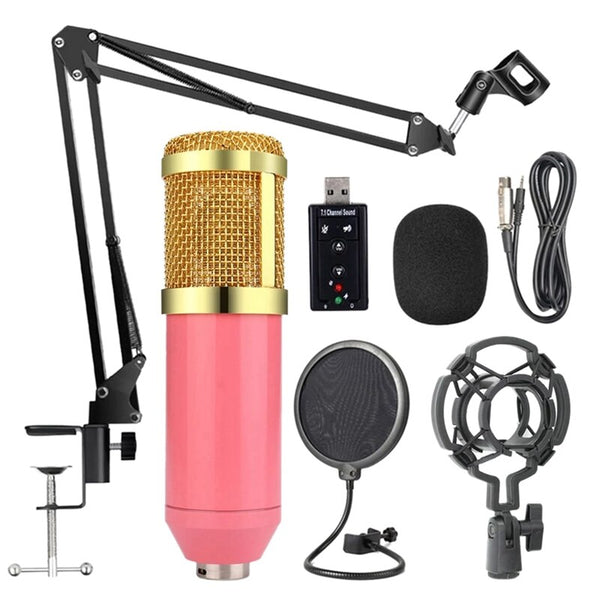 Bm800 Professional Microphone Kit Portable Mic Kit with Adjustable Suspension Scissor Arm for Studio Broadcasting Recording