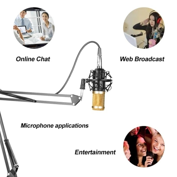 Bm800 Professional Microphone Kit Portable Mic Kit with Adjustable Suspension Scissor Arm for Studio Broadcasting Recording