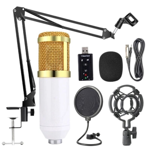 Bm800 Professional Microphone Kit Portable Mic Kit with Adjustable Suspension Scissor Arm for Studio Broadcasting Recording