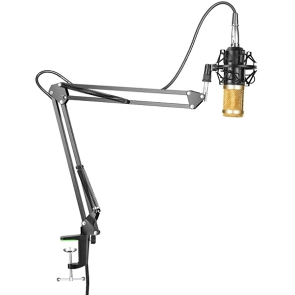 Bm800 Professional Microphone Kit Portable Mic Kit with Adjustable Suspension Scissor Arm for Studio Broadcasting Recording