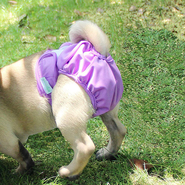 Reusable Dog Nappies 3-Pack Sanitary Pet Diapers Puppy Belly Band